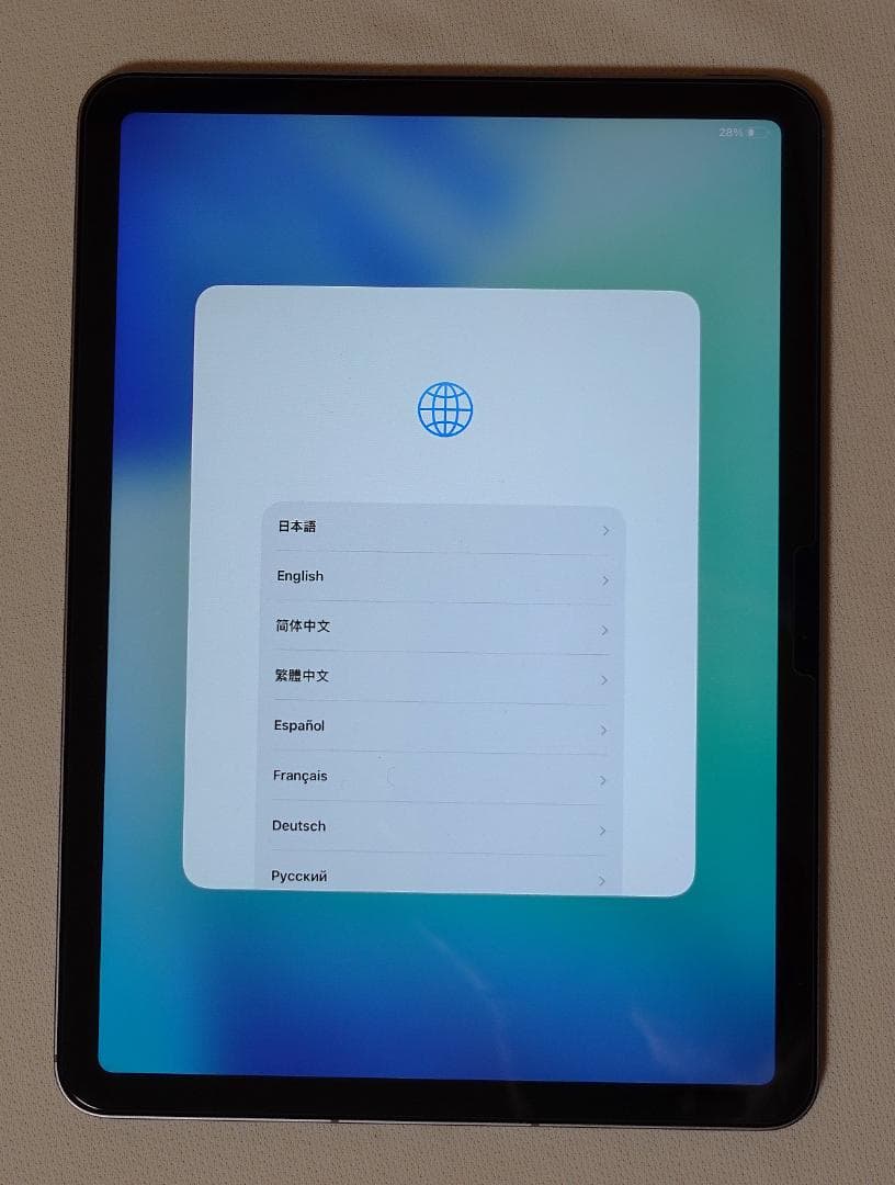 iPad本体 iPad Air 11 (M2 Wi-Fi+Cellular 128GB)