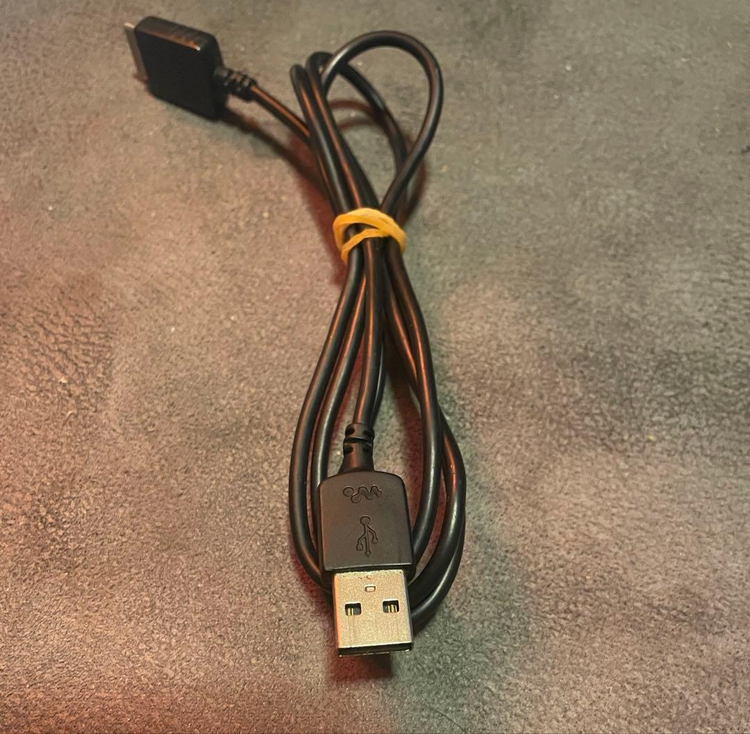 SONY ウォークマン NW-A45 16GB