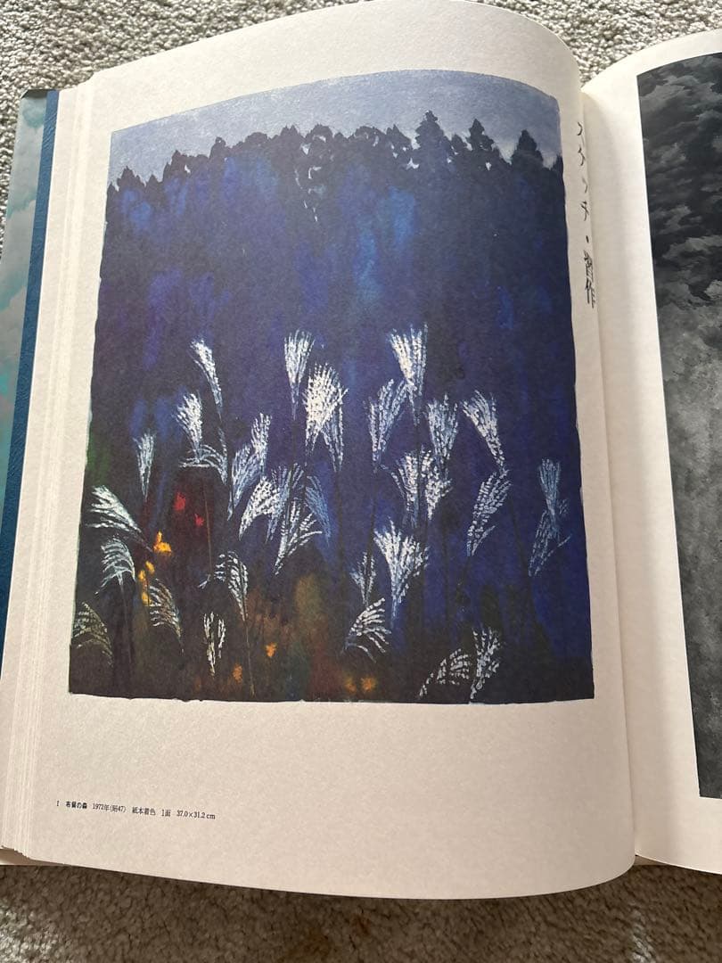 【美品・豪華本】東山魁夷 画集《現代日本の美術》函入り・大型本