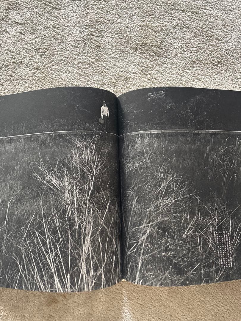 【美品・豪華本】東山魁夷 画集《現代日本の美術》函入り・大型本