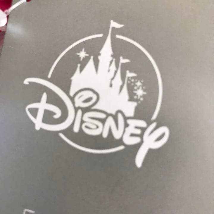 新品☆Disney ディズニー 陶器製 食器 お皿 ボウル型プレート