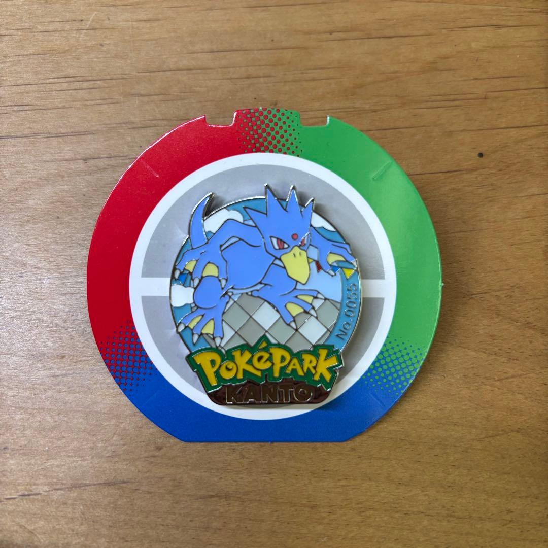 ポケパーク ピンズ ピンバッジ ポケモン