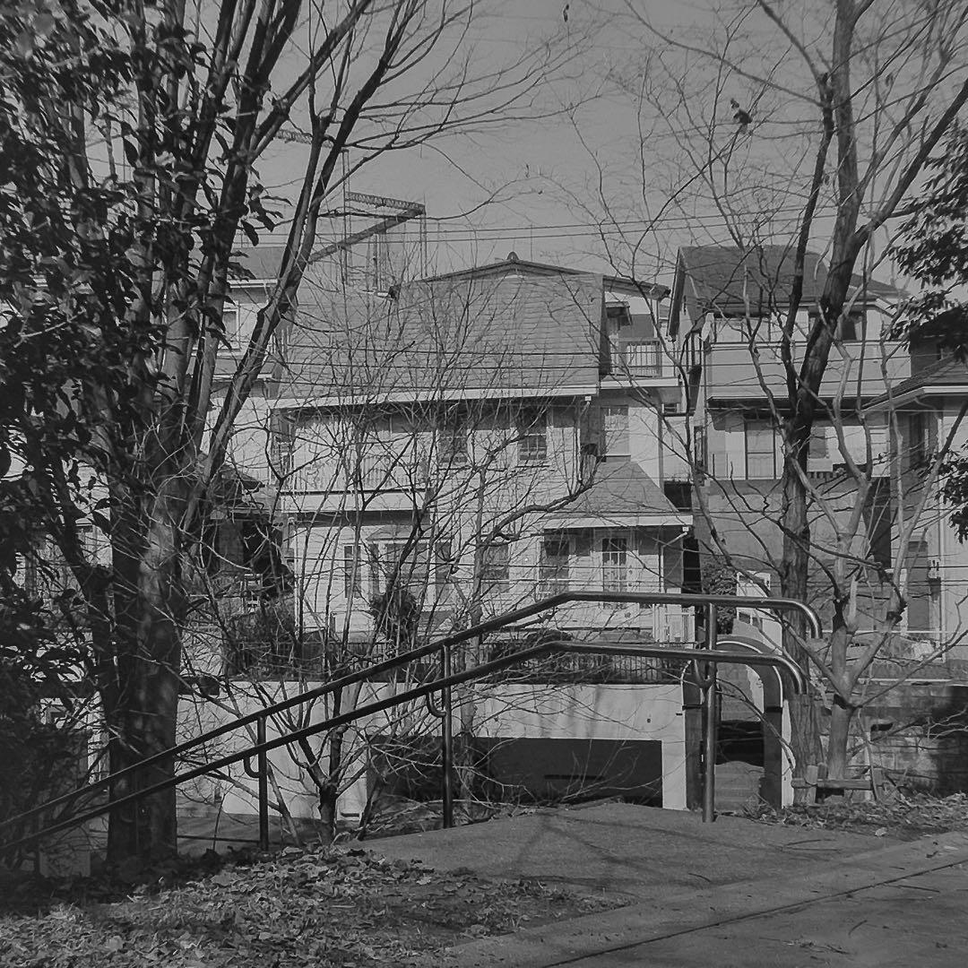 フィルムカメラ Zeiss Ikon Nettar 517/16 Novar