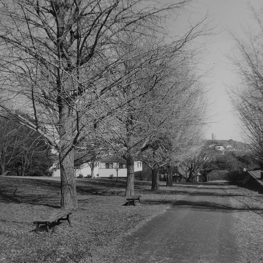 フィルムカメラ Zeiss Ikon Nettar 517/16 Novar