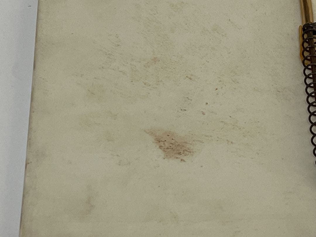 [専用]ARABIAグンヴァル・オリン・グラングヴィスト ウォールプレート壁掛け