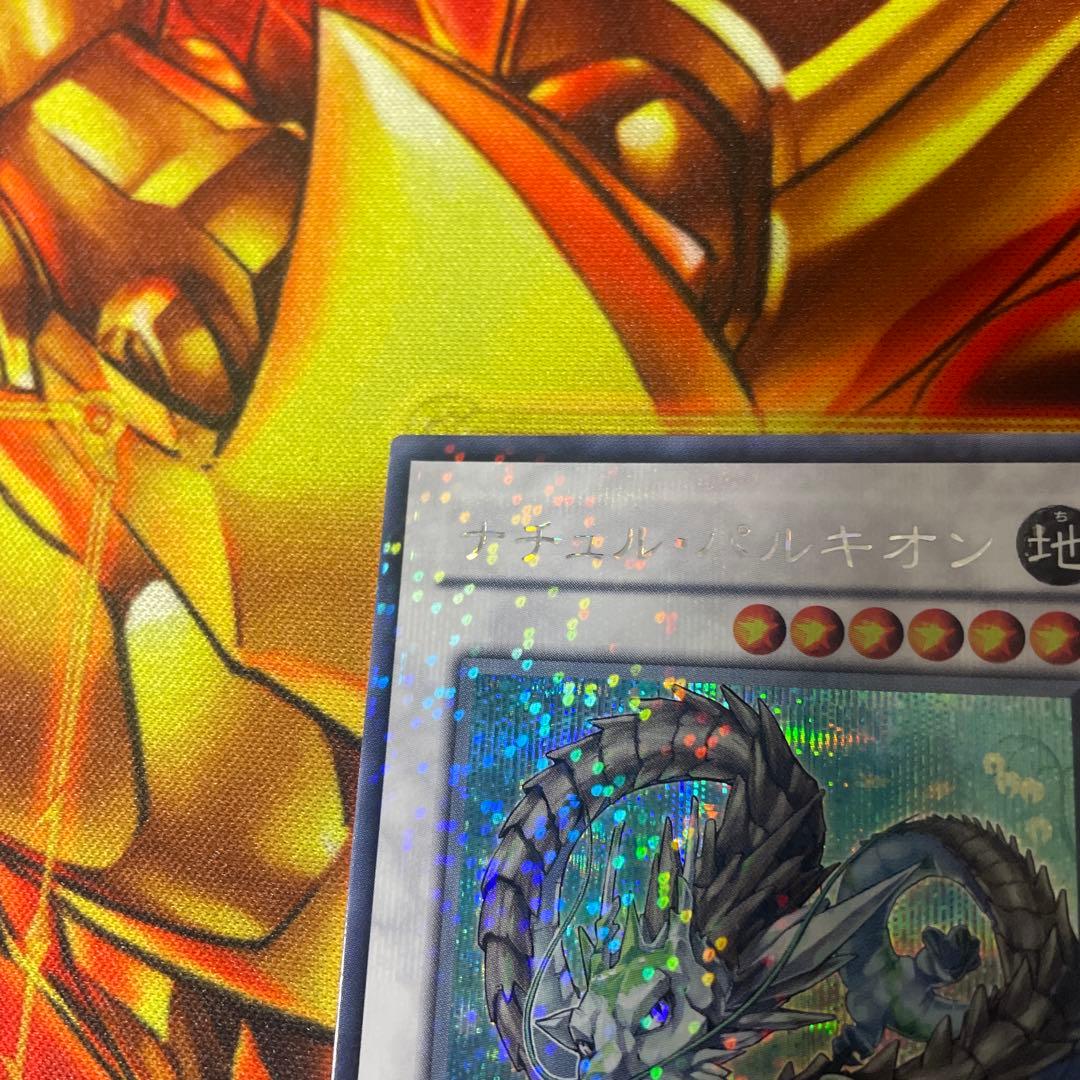 ナチュル・ビースト ナチュル・パルキオン　DTシク　セット