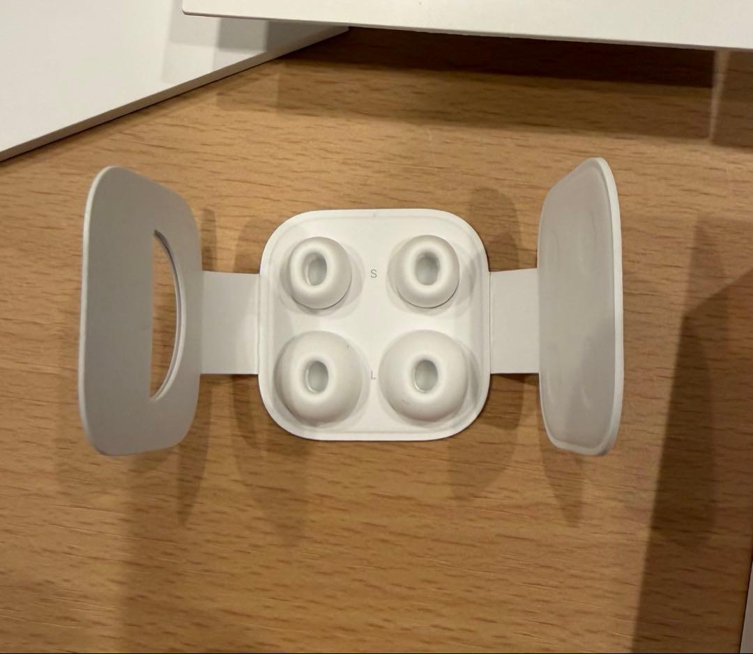 Apple AirPods Pro 第1世代 本体