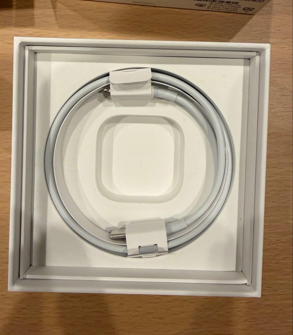Apple AirPods Pro 第1世代 本体
