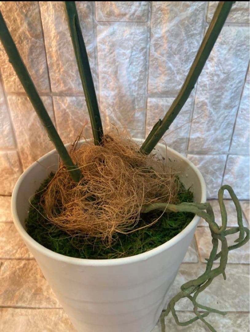 光触媒　人工観葉植物　ウォールグリーン　フェイクグリーン　斑入りモンステラajm