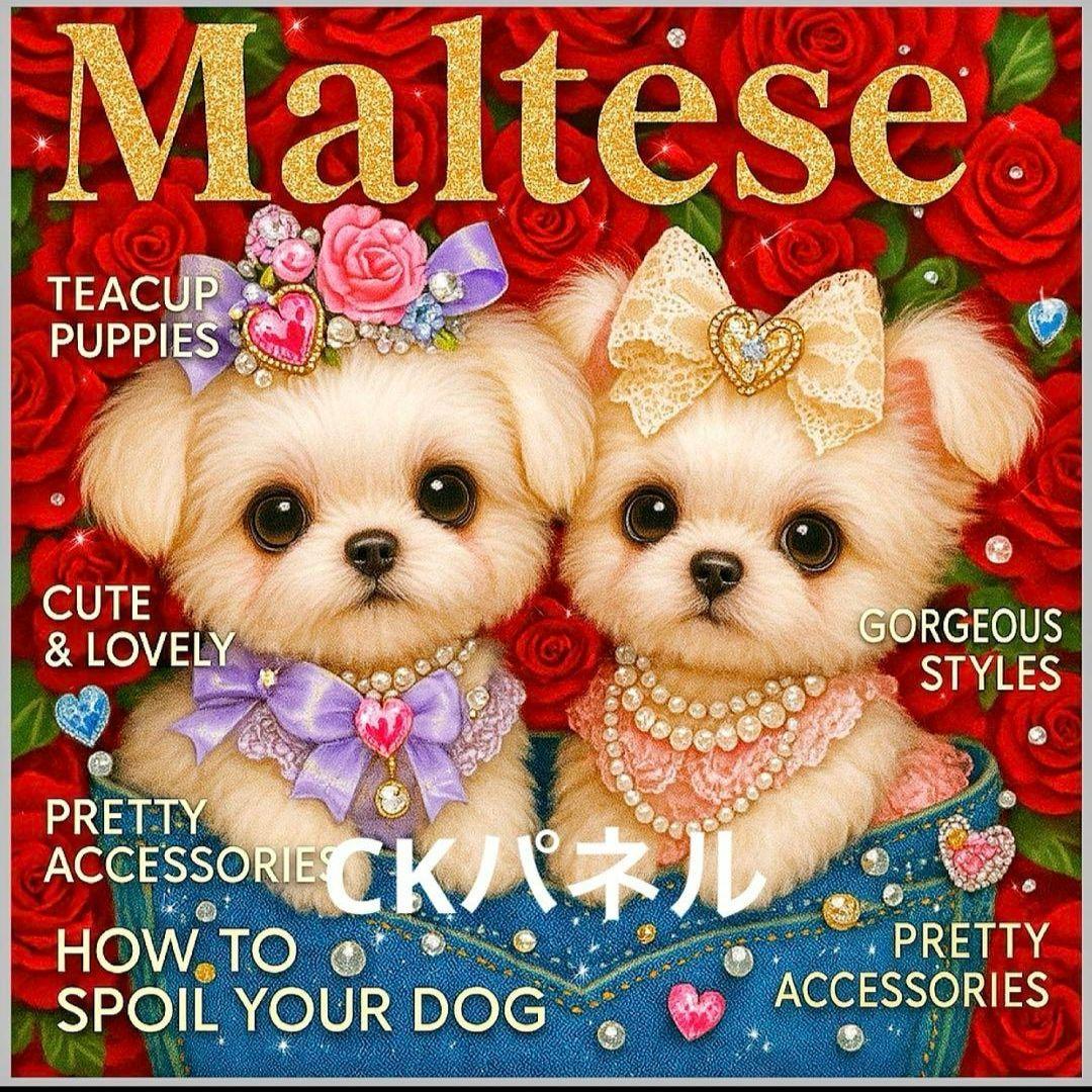 激レアマルチーズ、トイプードルパネル生地　ハンドメイド