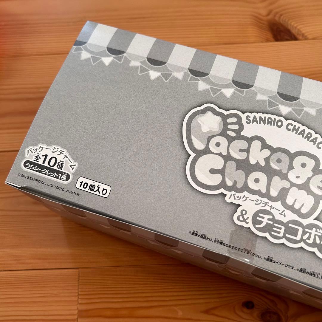 サンリオキャラクターズ　パッケージチャーム&チョコボーロ　10個入一箱　11個