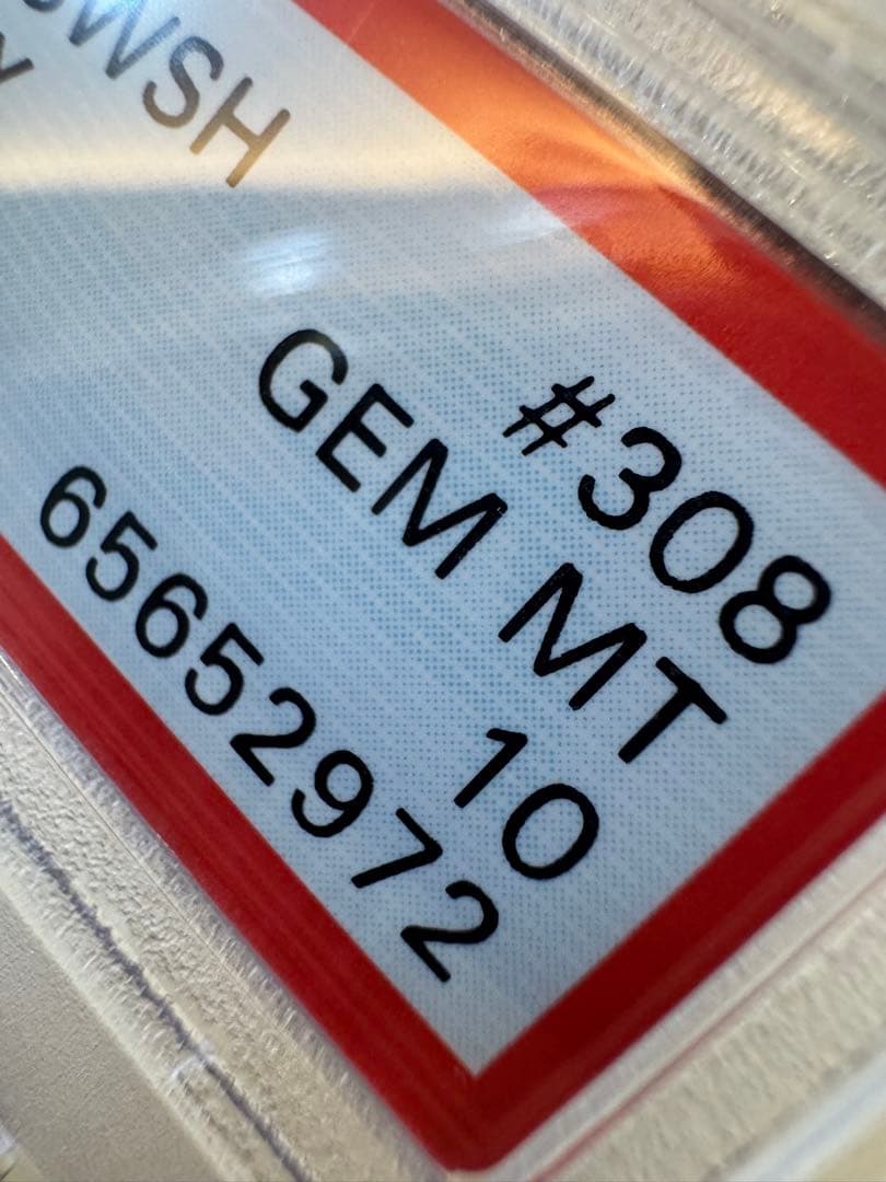 【真贋鑑定解説あり】PSA10リザードンVMAX SSR 308/190 S4a