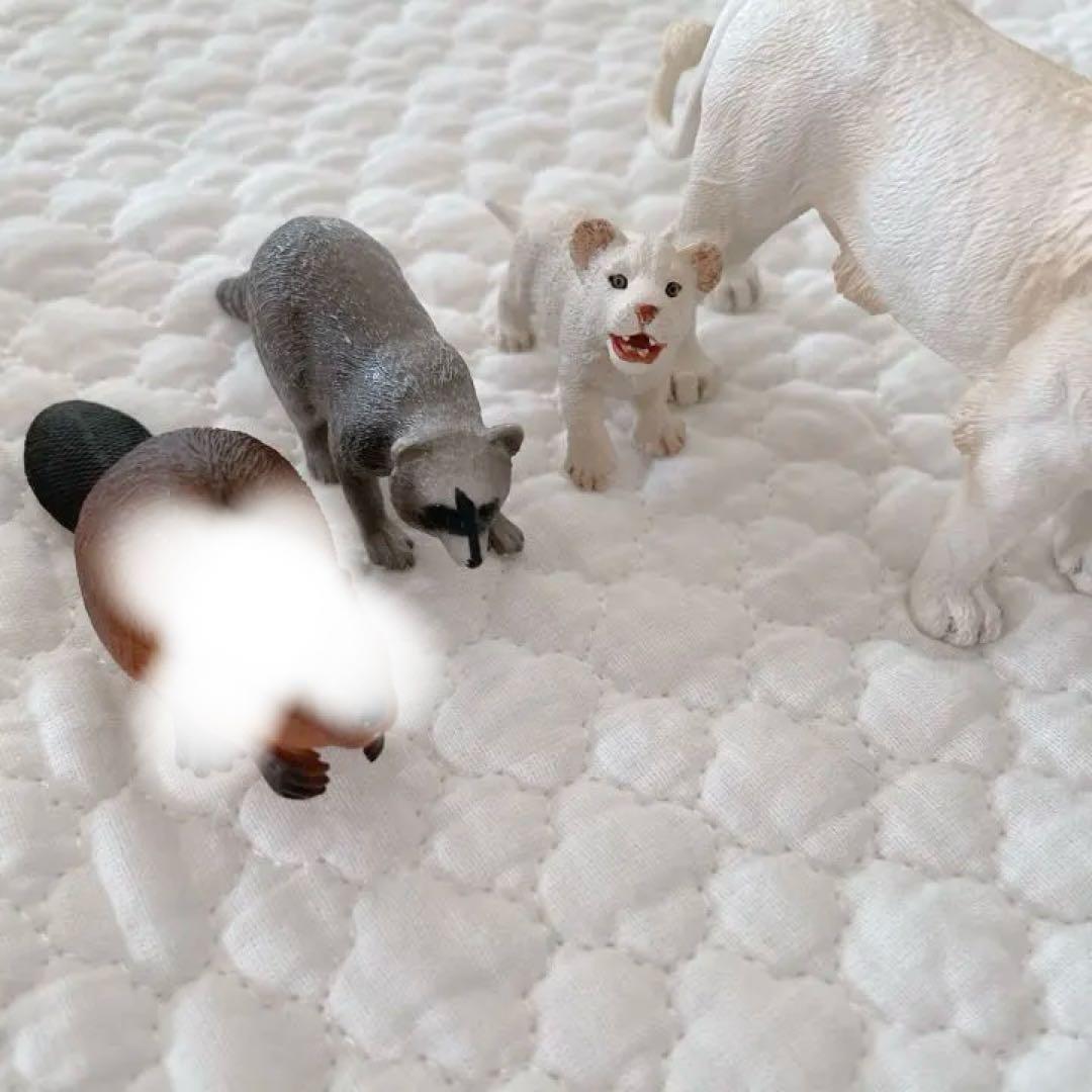 シュライヒ コレクタ 動物 フィギュア セット