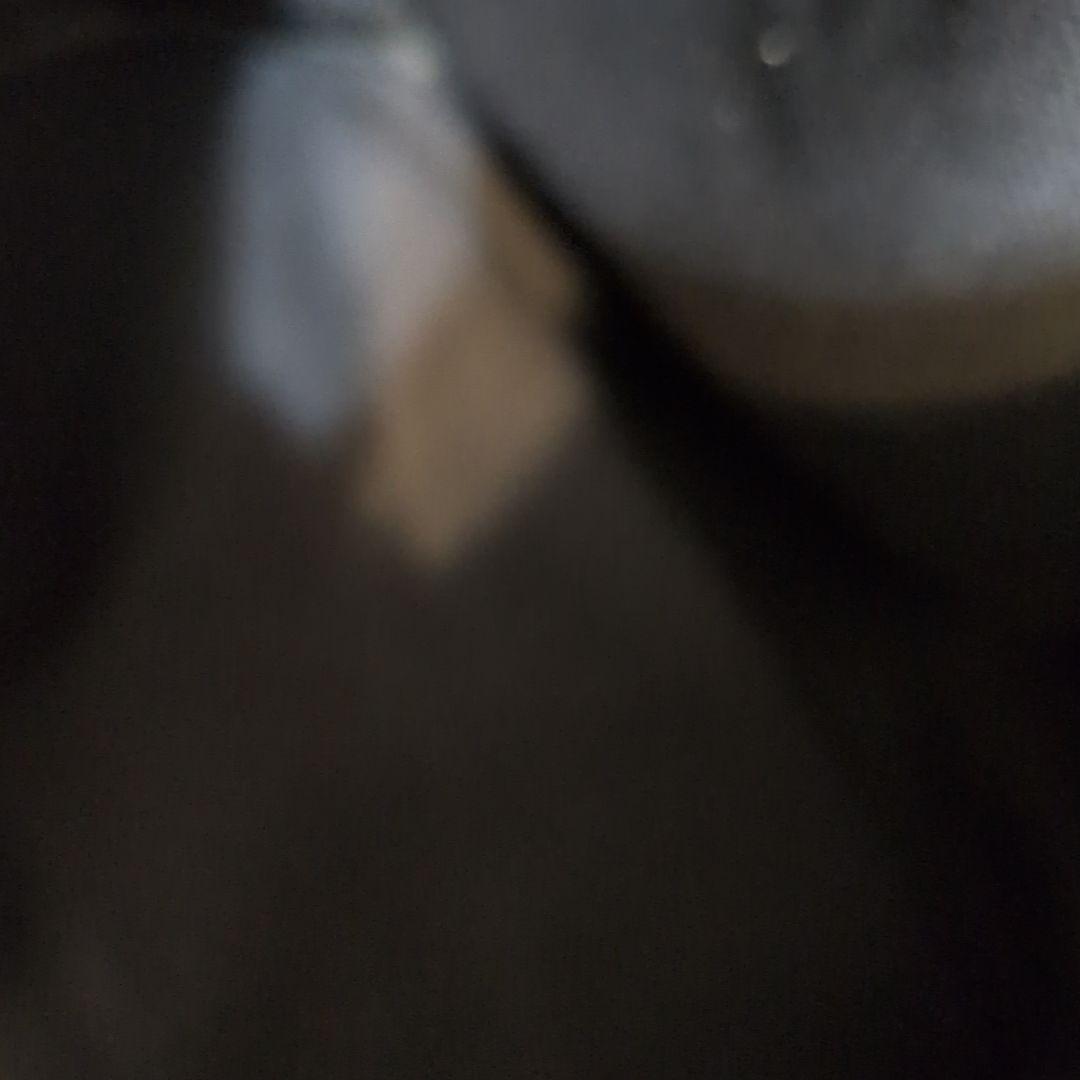 新品未使用　CHANELノベルティ　桜チャーム付きバッグ