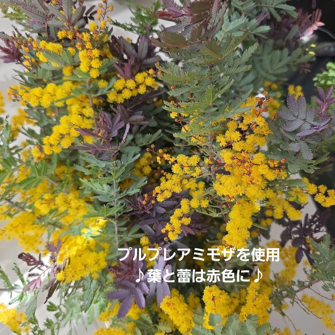 ドライフラワーリース＊ハンドメイド＊ミモザリース＊ミモザ フラワーリース➆