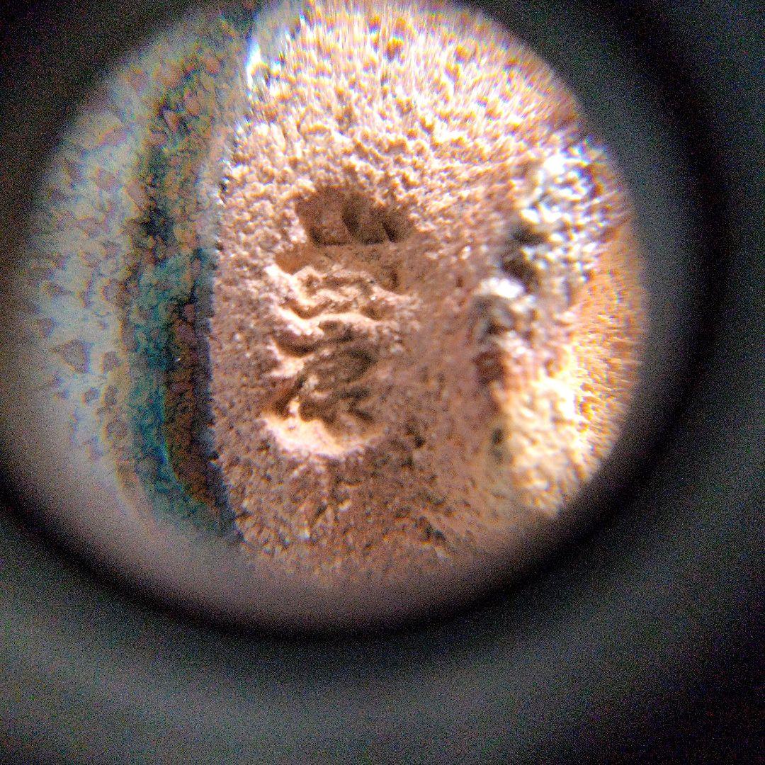 木村盛康　油滴天目ぐい呑み