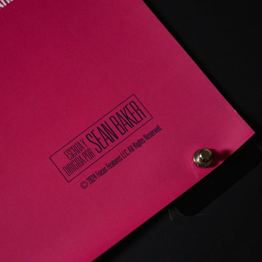 【映画館用両面ポスター】ANORA アノーラ 　アカデミー賞最多5部門受賞！