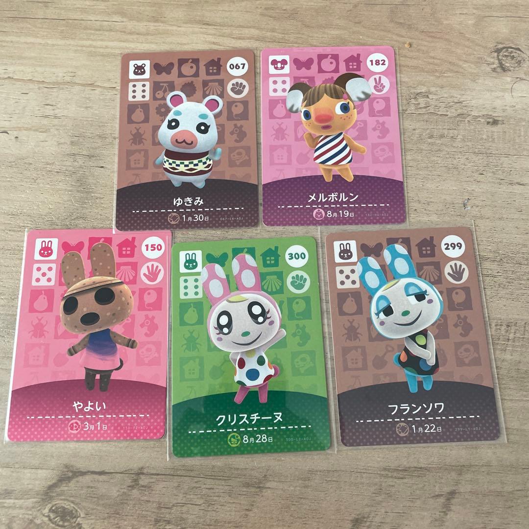 ジュン　メープル　ロボ　キャラメル　ラッキー