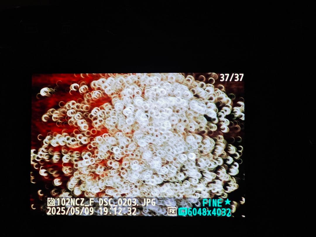 美品 TTArtisan 250mm f/5.6 ミラーレンズ M42