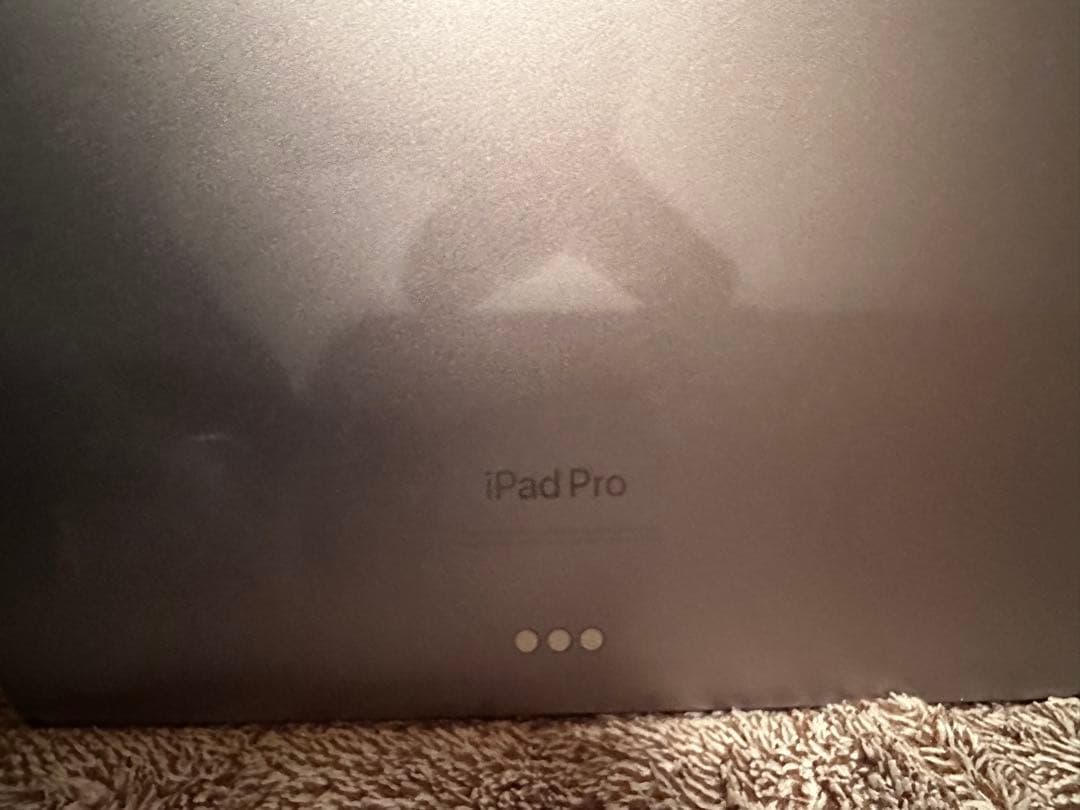 iPad Pro 11インチ第四世代　256GB Apple Pencil