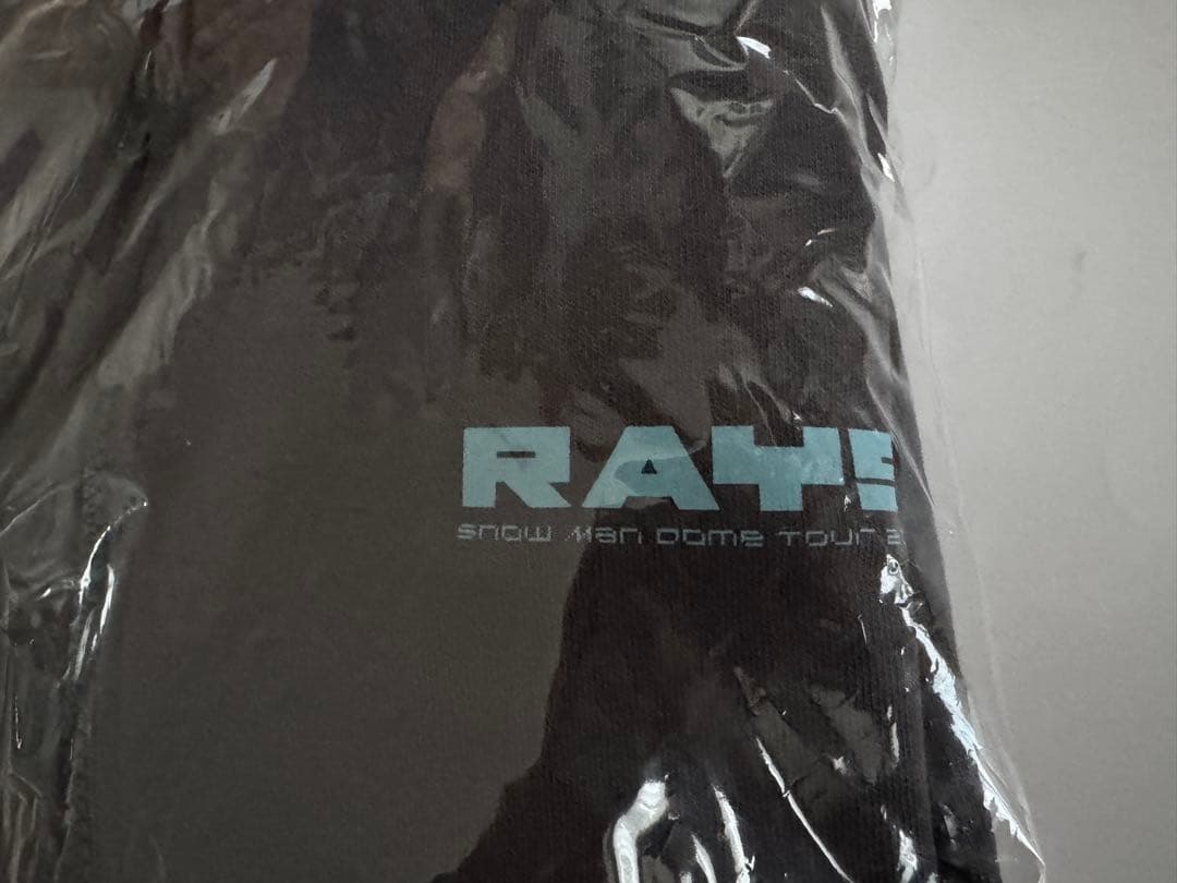 Man 2024DOME TOUR RAYS パーカー