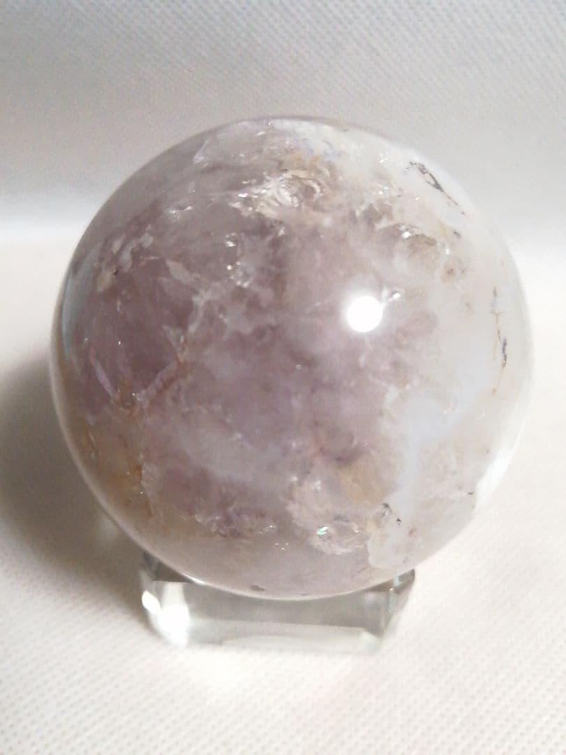 新品】かわいい花が咲きキラキラとデンドリの赤ちゃんありピンクアメジスト10-36