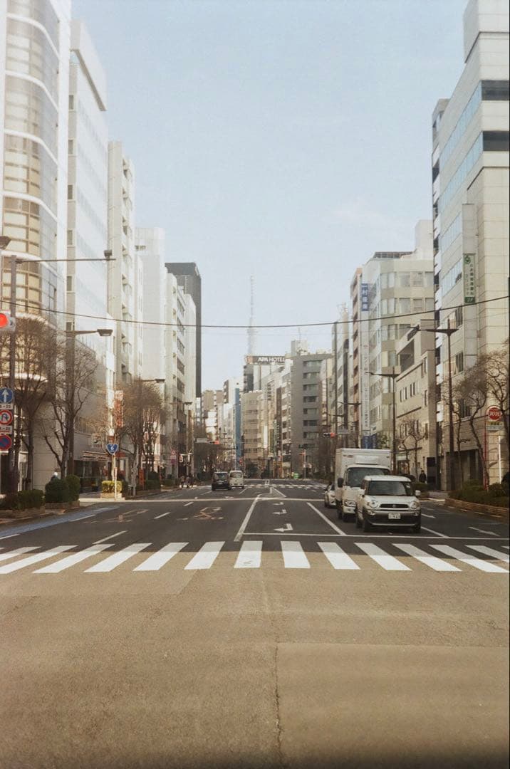 Leica Summaron 3.5cm 美品 撮影した写真有り(後半3枚)