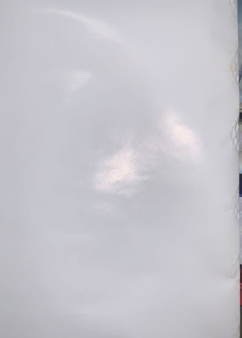 【B1・痛み汚れあり】 パトレイバー 劇場 告知 ポスター