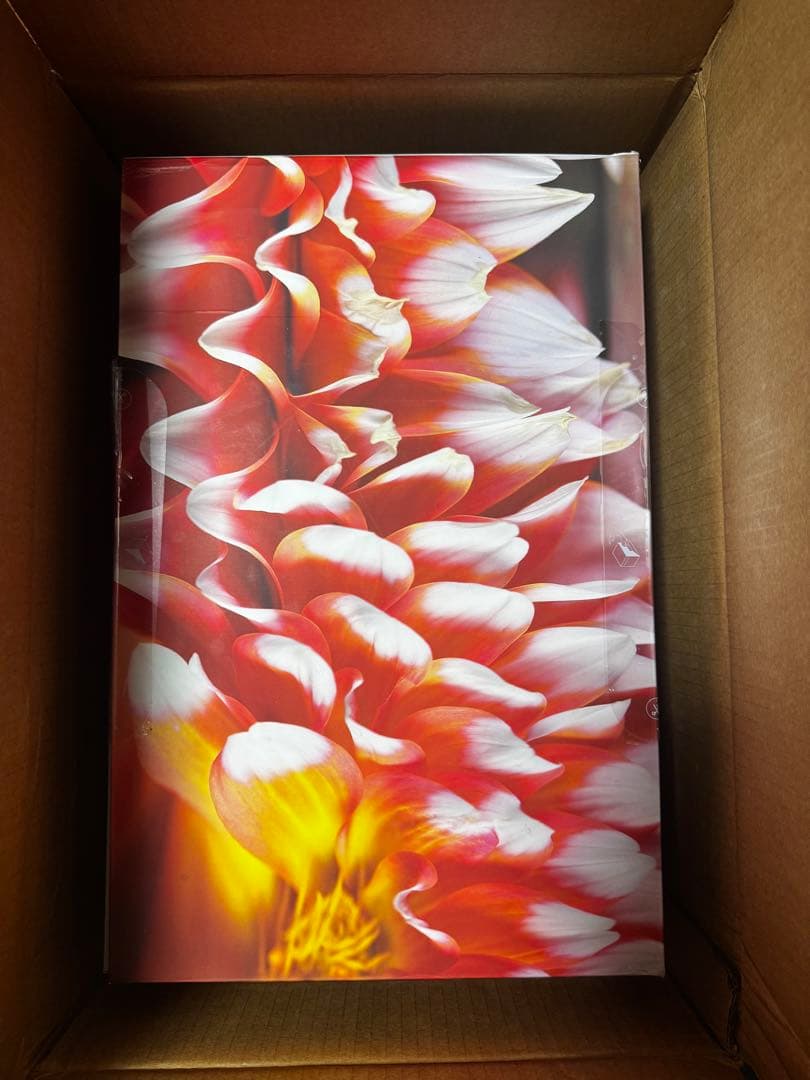 DEVIALET PHANTOM I 108db GOLD + 純正スタンド