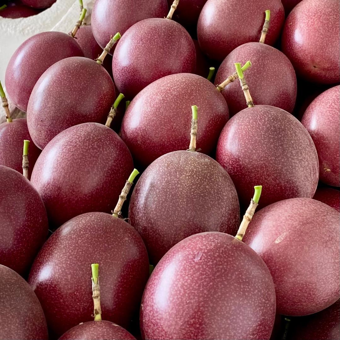 ②パッションフルーツ10苗(ポット入り) 緑のカーテン