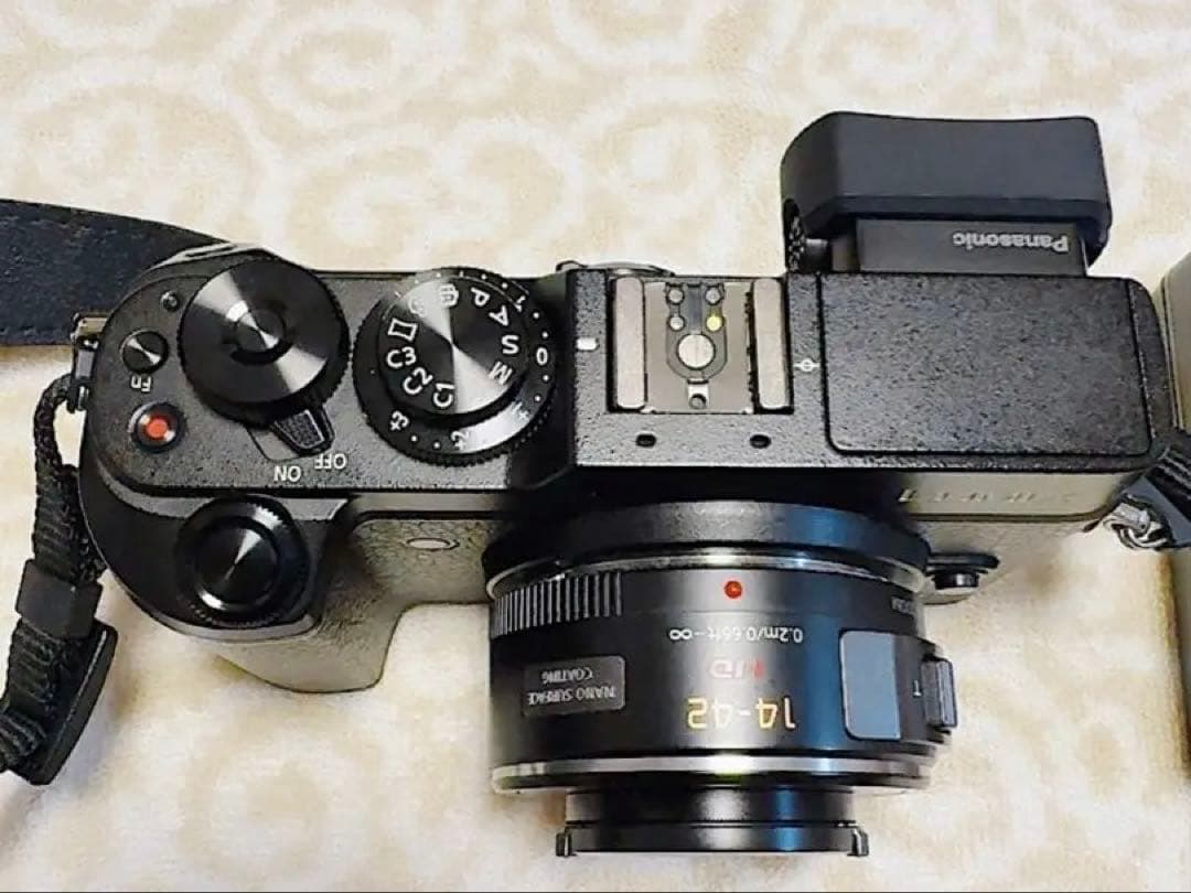 【ショット数5000回】LUMIX DMC-GX8本体＋レンズ、三脚、マイク