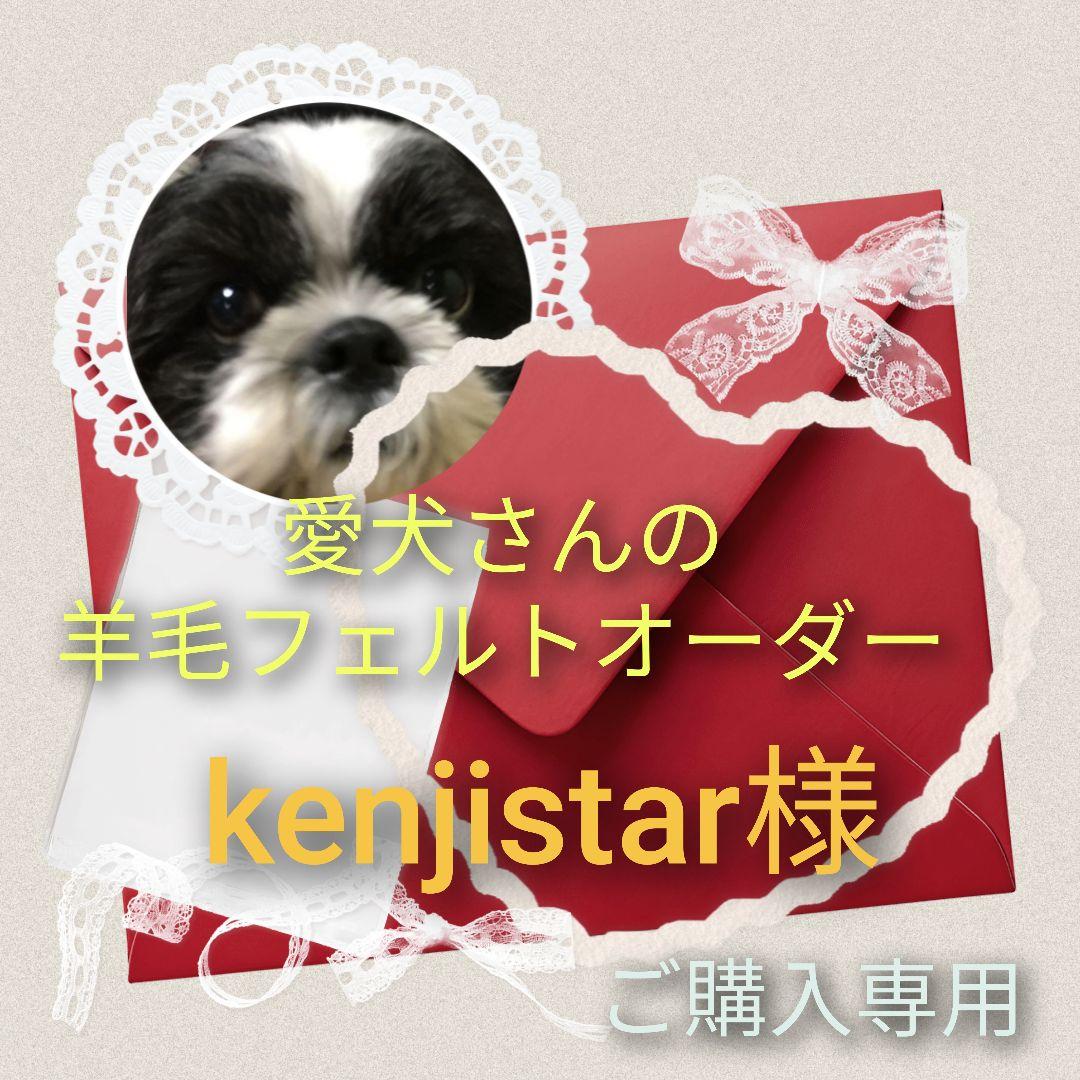 愛犬さんの羊毛フェルトオーダー kenjistar