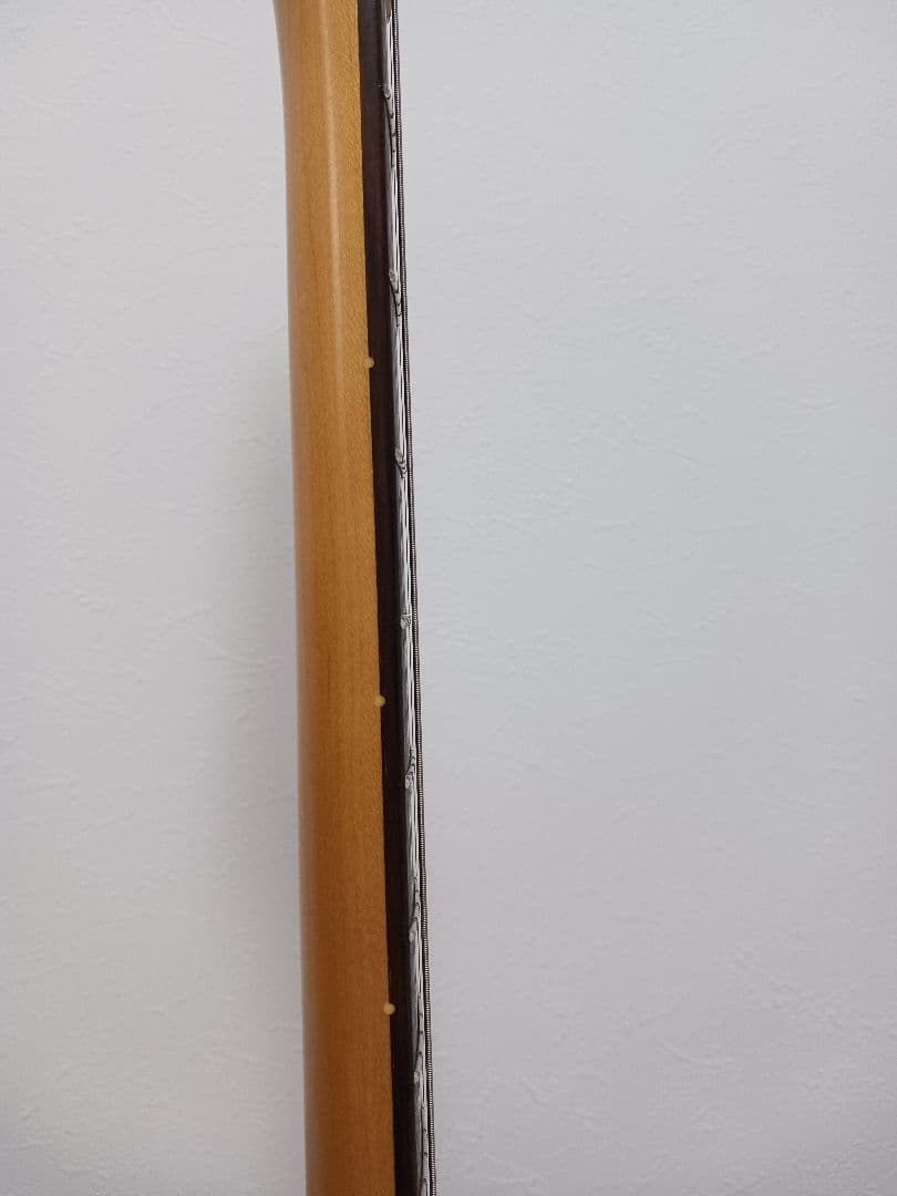 CoolZ ZTL-2R フジゲン テレキャスター