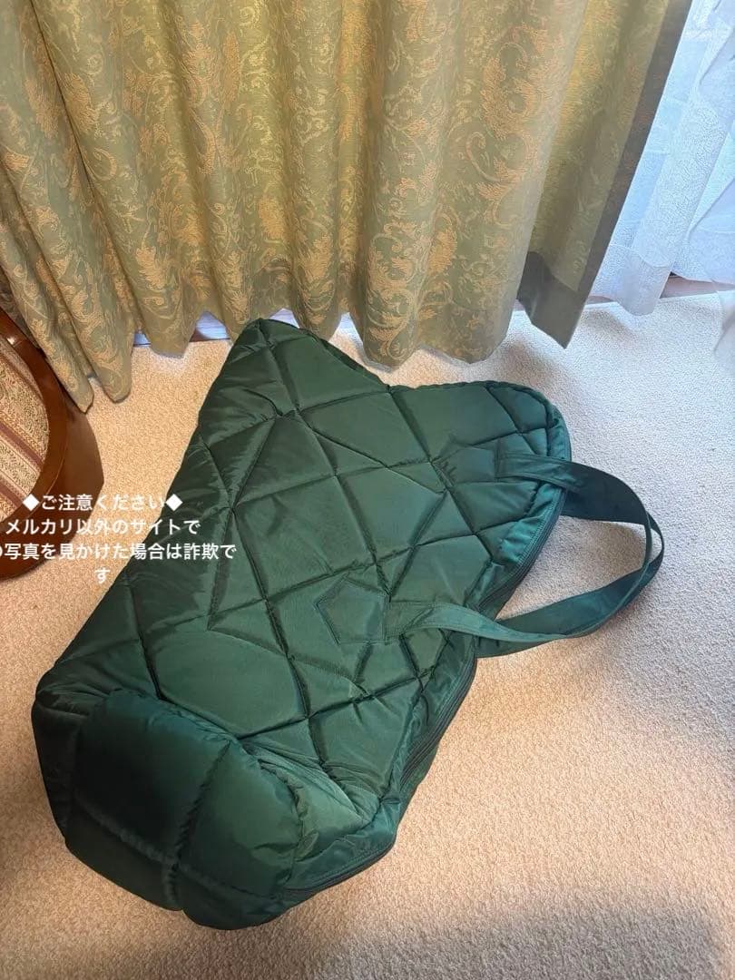 定価277,000円　青山ハープ　アオヤマ 25S サウルハープ