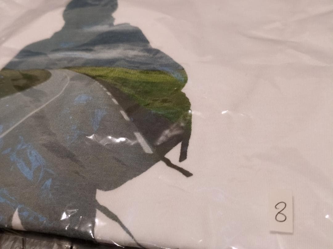 浜田省吾　Tシャツ　SHOGO HAMADA　⑧　2011　ツアー　シルエット
