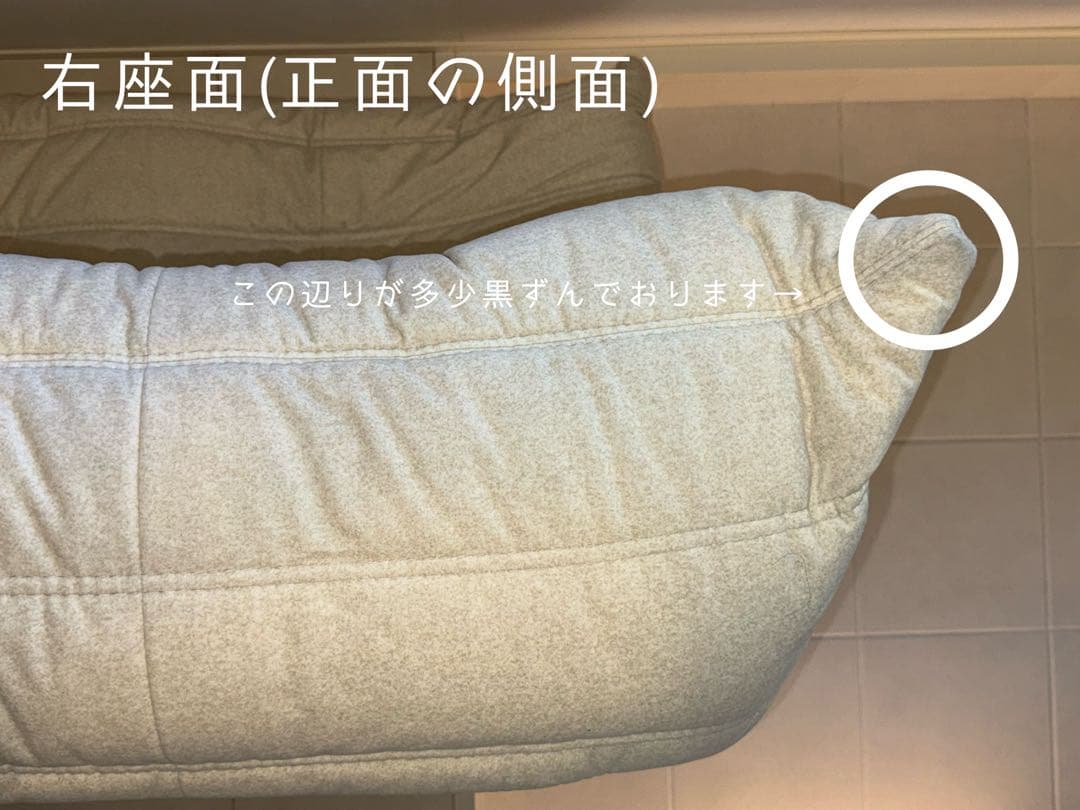 ROSET Togo リーンロゼ トーゴ2人掛けソファ ＋パフ 50周年限定品
