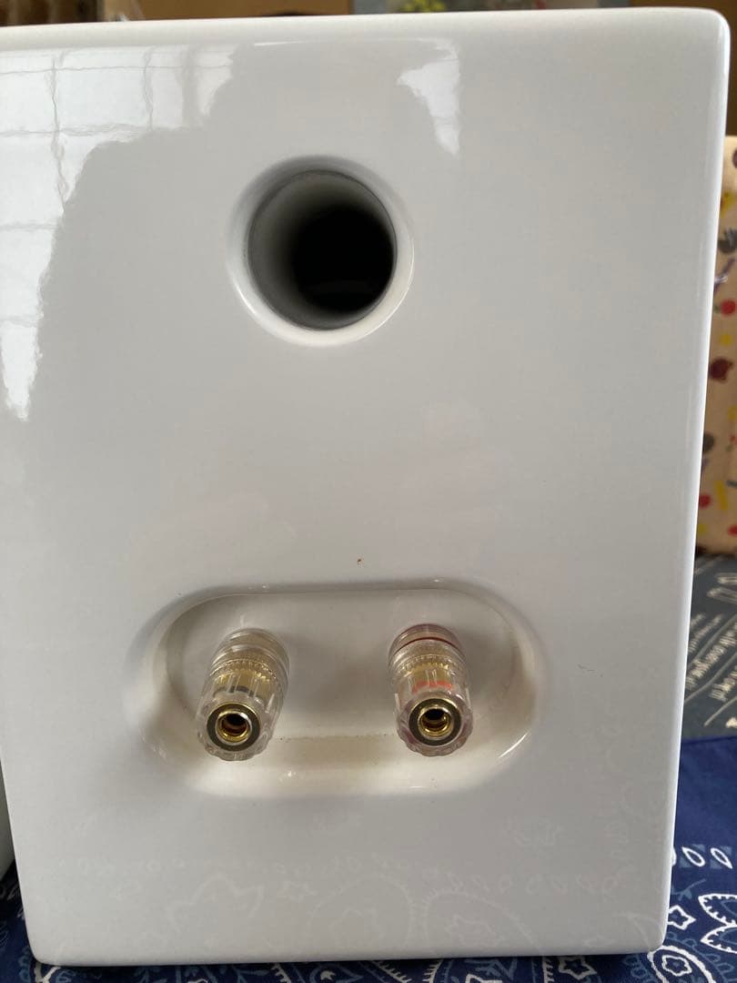 AKISUI 10cmフルレンジブックシェルフスピーカー(ASS-101)