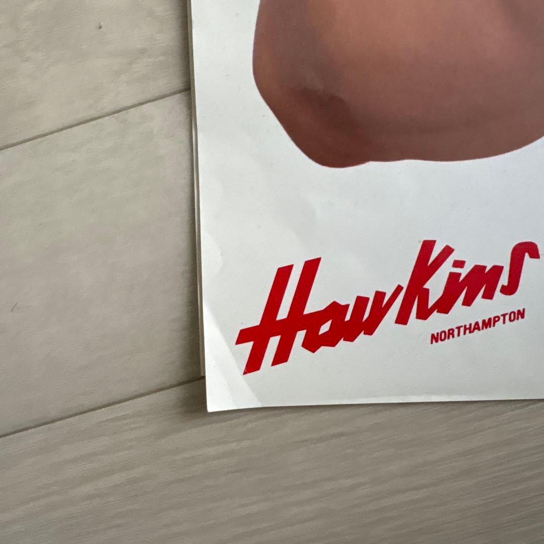 大塚寧々 Hawkins ポスター ホーキンス