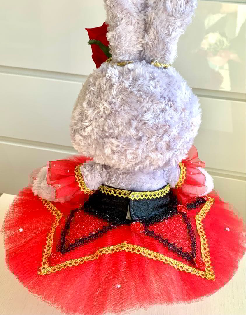 ステラルーコスチューム　バレエ衣裳　キトリ