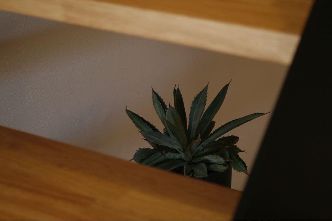 Canon EOS 30D デジタル一眼レフカメラ　比較的綺麗　動作品