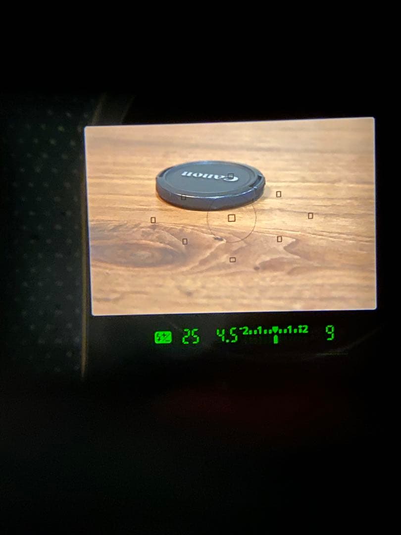 Canon EOS 30D デジタル一眼レフカメラ　比較的綺麗　動作品