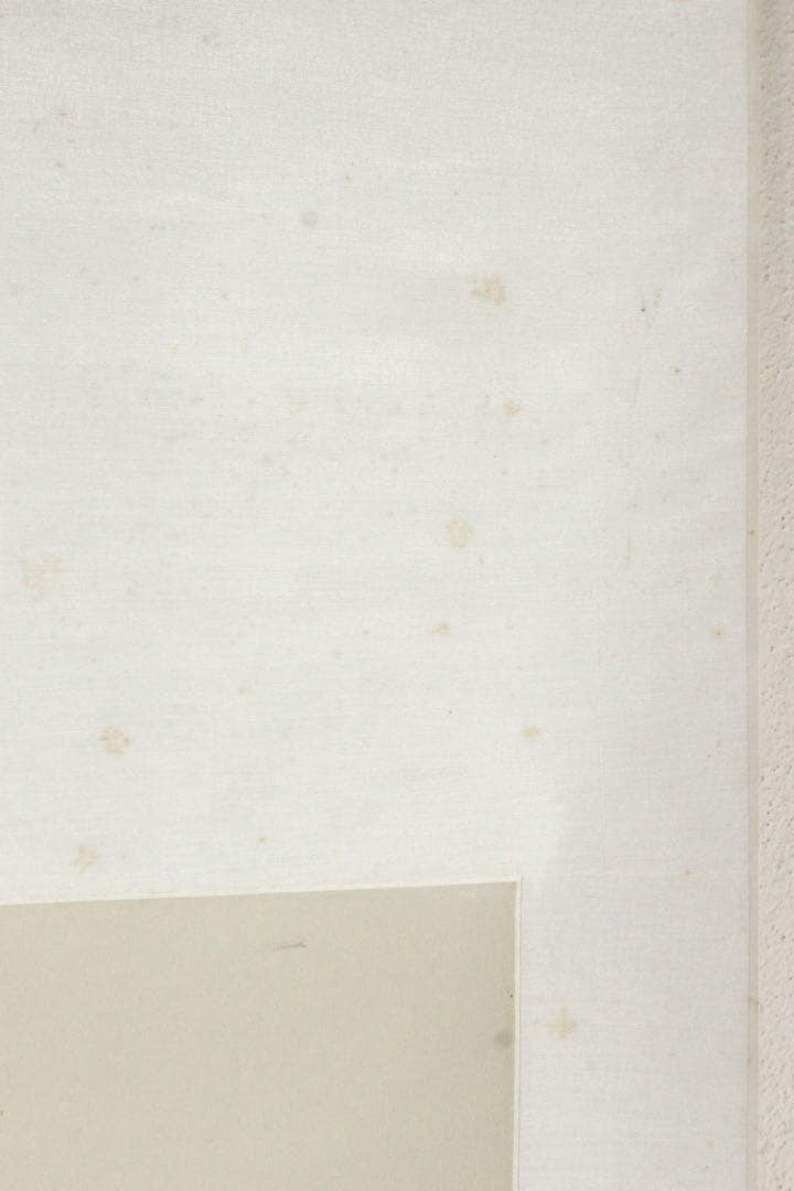 No5570掛軸　無落款　山水図　紙本着色　唐画　中国画　古画　古美術　送料無料