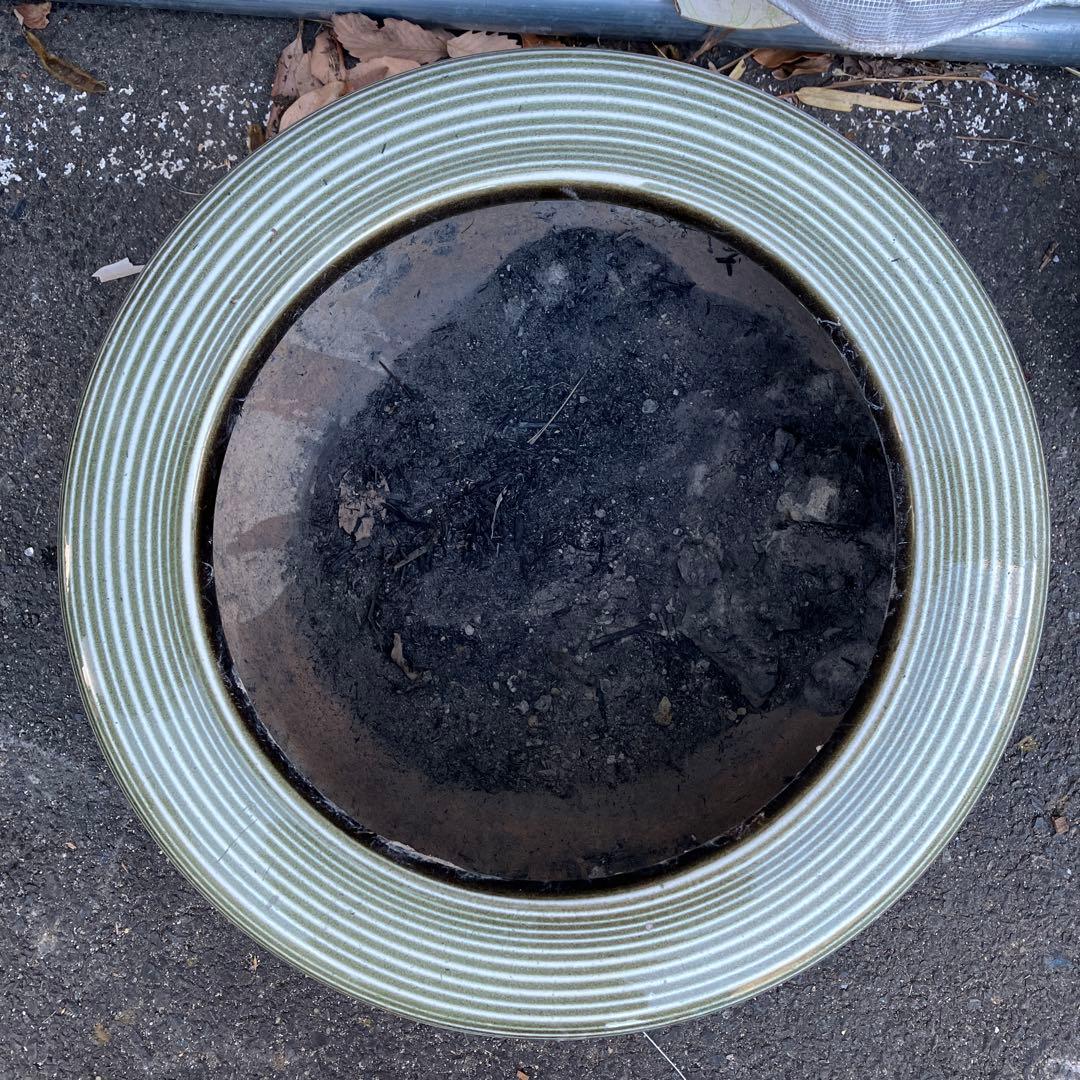 A-1 希少 松楽 睡蓮鉢 火鉢 波紋 刷毛目 陶器 メダカ鉢 雑貨 陶器製