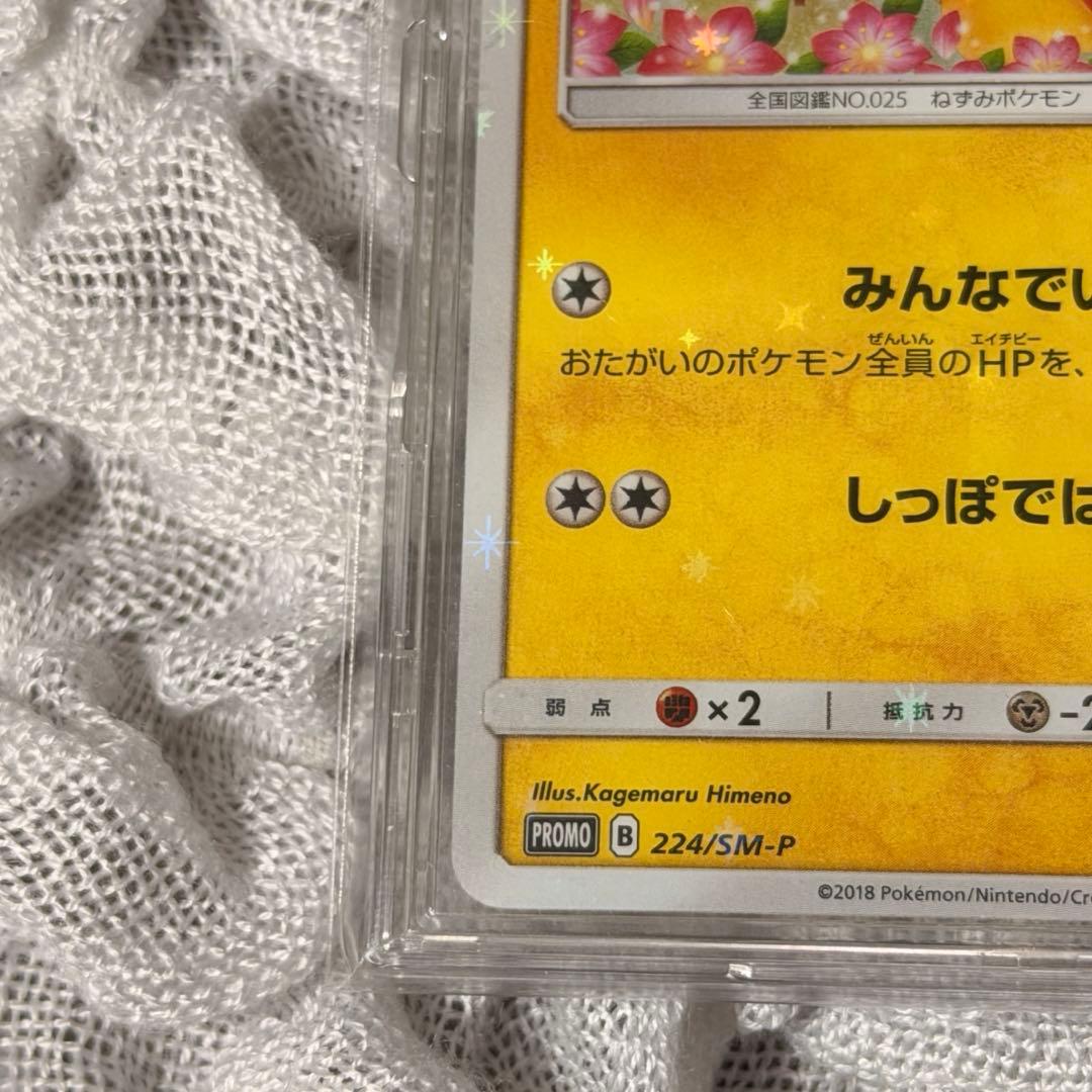 224/SM-Pピカチュウ みんなでいわう プロモ ケース付き