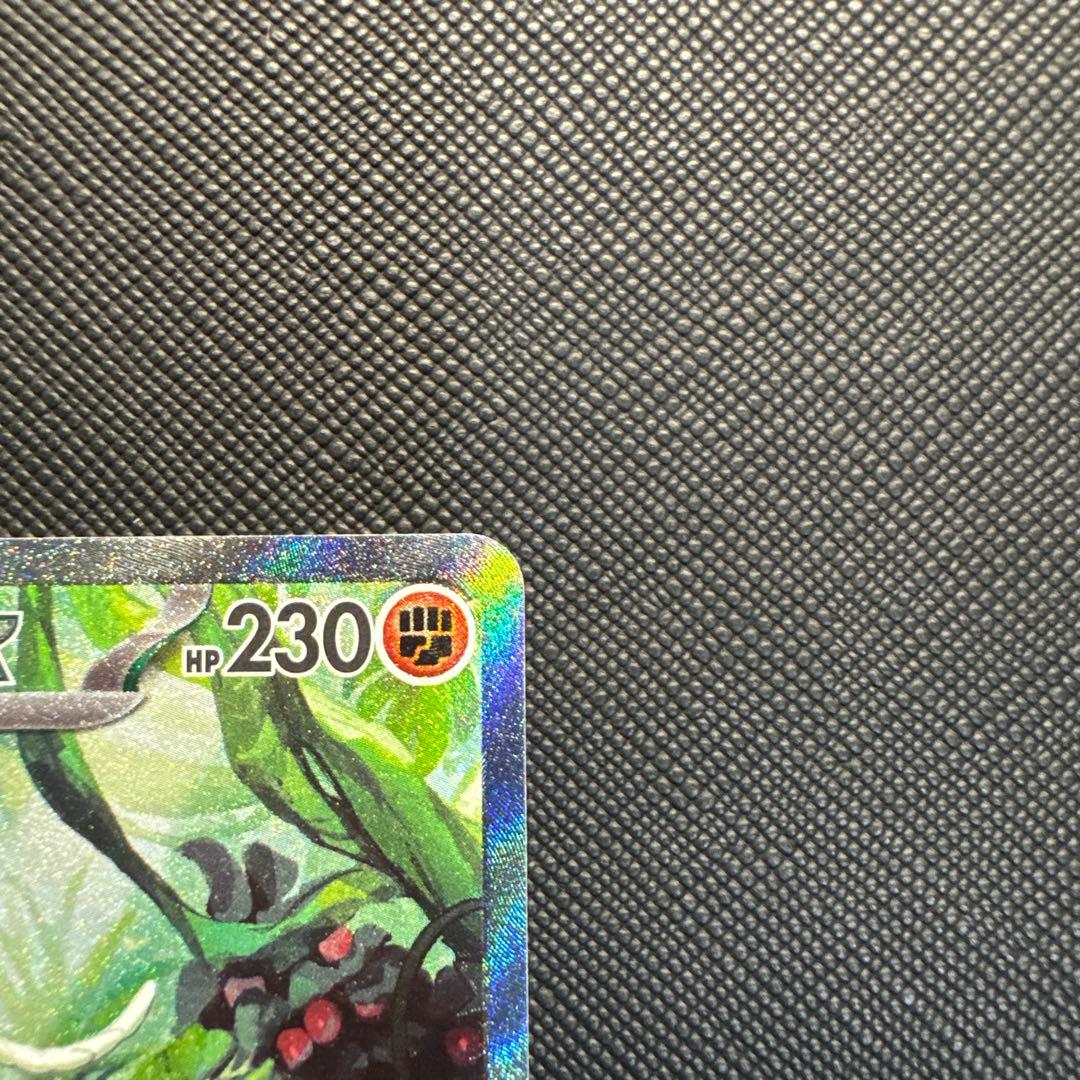 ミライドン　コライドンex SAR 2枚セット