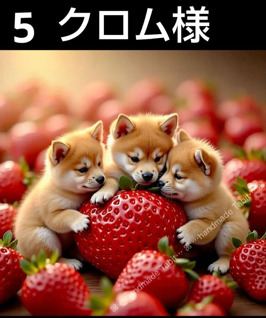 オーダーページ　ハンカチ　ポメ柴犬いちご柄ハンドメイド1/31