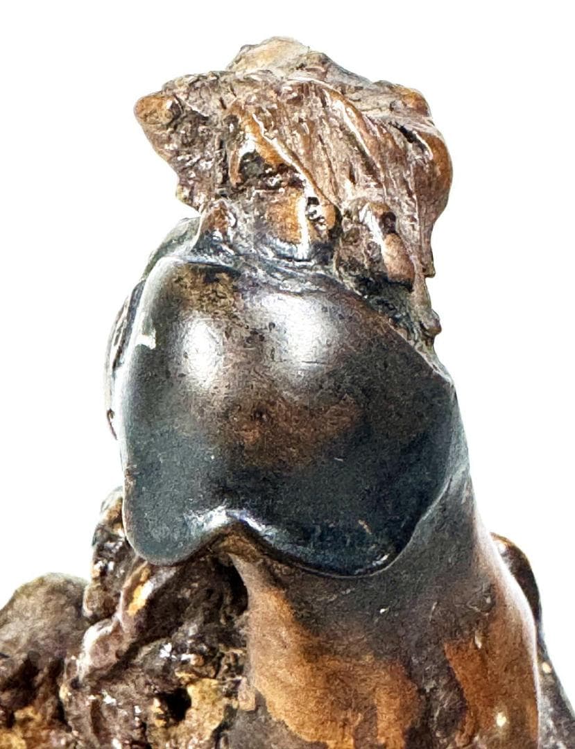 時代物 手彫り 瘤杢 葡萄杢 人物根彫 木彫刻 一点物 自然木 WWWT125