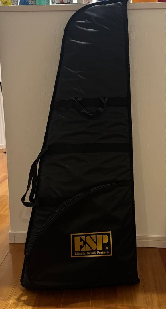 Edwards E-TE-98ASM とてもきれいな状態のテレキャスターです。