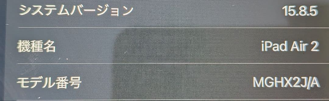 iPad air2 本体