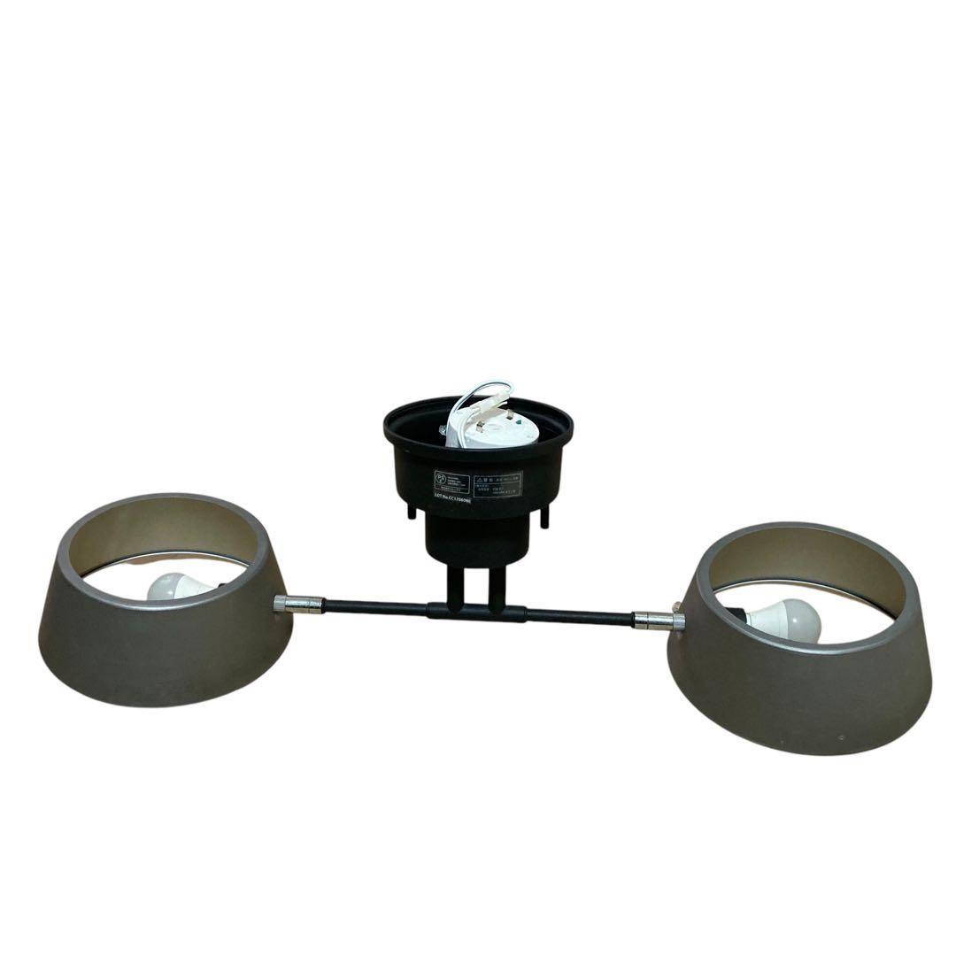 エルックス 2灯シーリングライト カピエンテ ヴィンテージシルバー